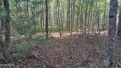 Airport Rd - Lot 7, Rockwood, TN 37854