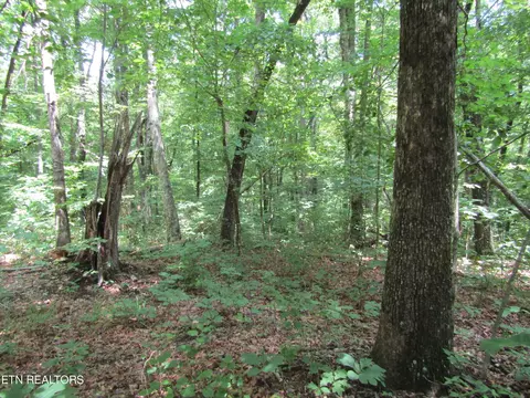 lot29 Davidson Dr, Monterey, TN 38574