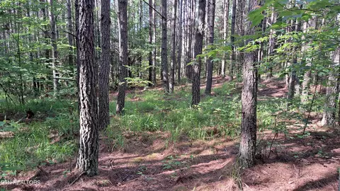 Airport Rd - Lot 8, Rockwood, TN 37854
