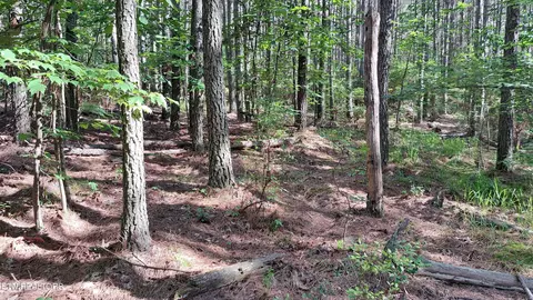 9 Airport Road, Rockwood, TN 37854