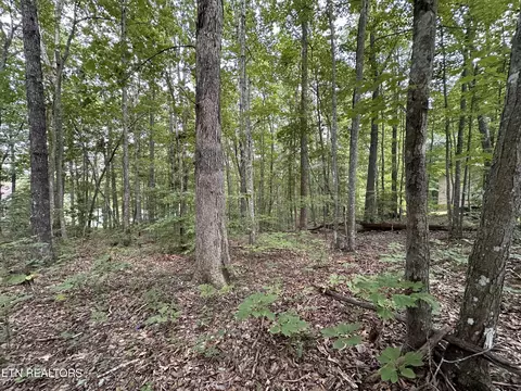 lot119 Huckleberry Dr, Jamestown, TN 38556