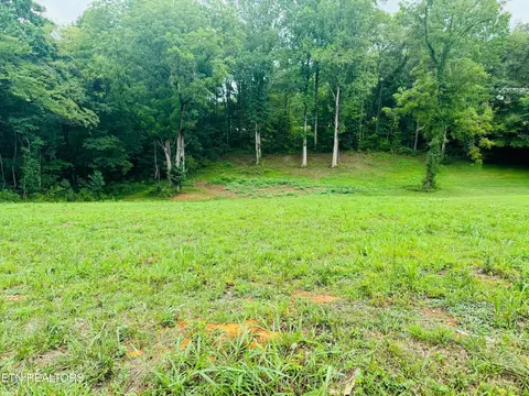 0 Wale Dr, Parrottsville, TN 37843