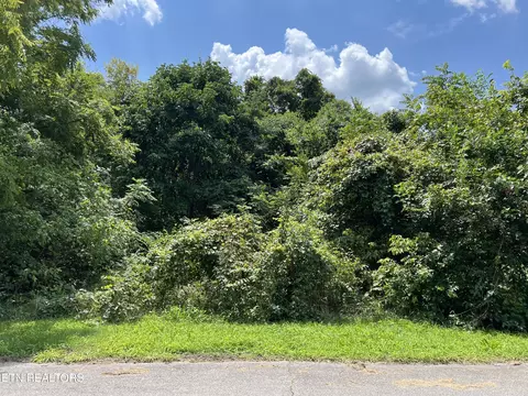 N Furnace Ave, Rockwood, TN 37854