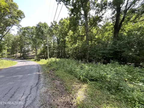 00 Scenic Lakeview Dr, Spring City, TN 37381