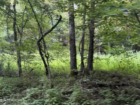Dry Fork Rd, Del Rio, TN 37727
