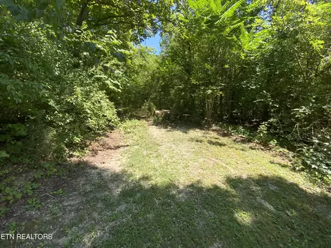 Highway 116, Caryville, TN 37714