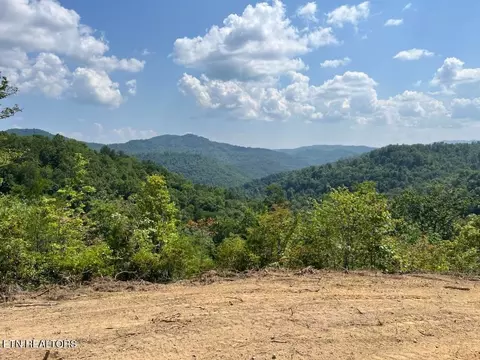 Big Four Rd, La Follette, TN 37766