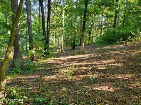 Grove Lane, Clinton, TN 37716