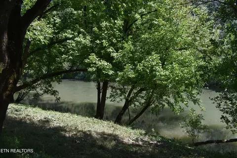 Powell River Rd, Harrogate, TN 37752 photo 5