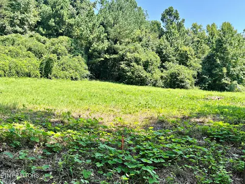 lot3 Oak Grove Rd, Decatur, TN 37322