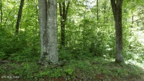 20 76ac Walker Cove Rd, Sparta, TN 38583