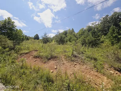 Echo Point Rd, Oneida, TN 37841 photo 4
