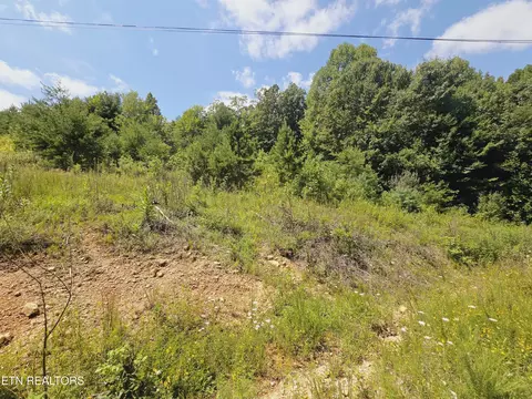 Echo Point Rd, Oneida, TN 37841 photo 3