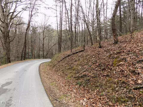 Deerfoot Rd, Cosby, TN 37722