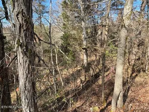 Happy Hollow Lane Lane, Sevierville, TN 37876
