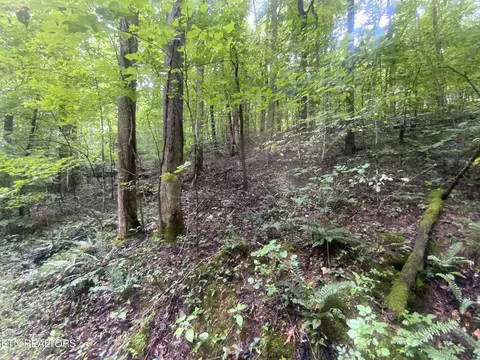 lot63 Hiwassee View Dr, Jacksboro, TN 37757