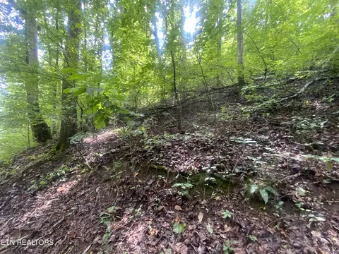 lot64 Hiwassee View Dr, Jacksboro, TN 37757