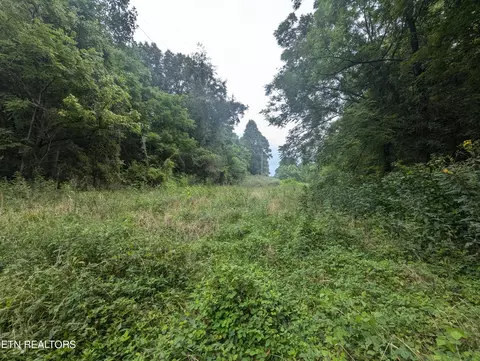 Little Valley Rd, Tazewell, TN 37879