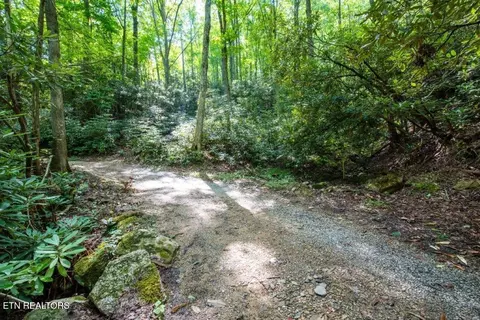 10 Acres Carrs Creek Rd, Townsend, TN 37882