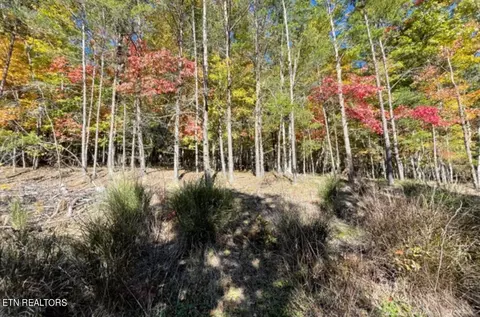 53 Chatham Ter, Crossville, TN 38558