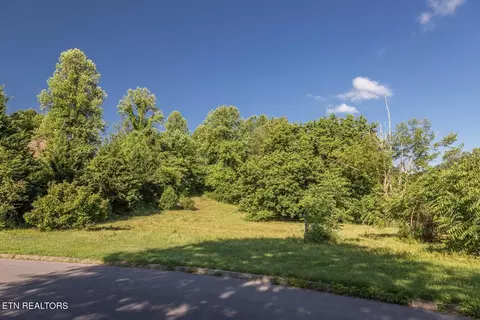 lot11 Cove Meadows Dr, Sevierville, TN 37862