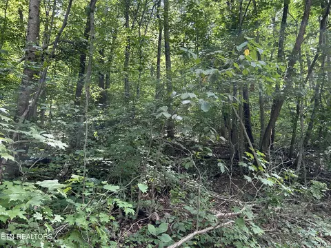 Pearl Lot 20 Lane, Maynardville, TN 37807