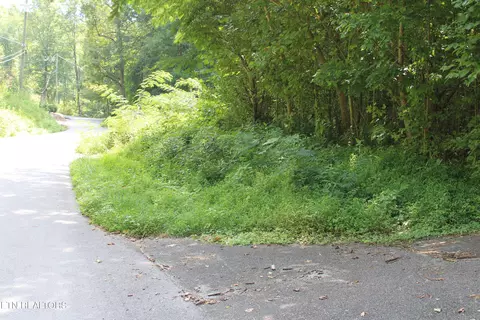 262264 Loop Rd, Gatlinburg, TN 37738