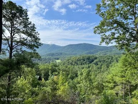 Tolliver Tr, Townsend, TN 37882