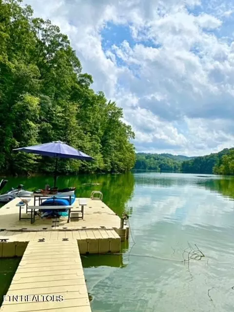 Wildcat Hollow Rd, New Tazewell, TN 37825