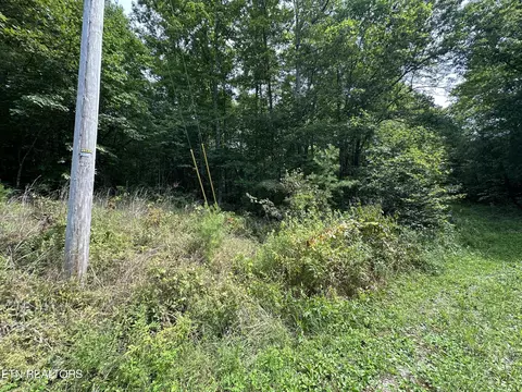 Anthony Rd, Deer Lodge, TN 37726 photo 9