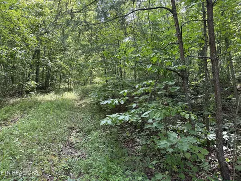 Anthony Rd, Deer Lodge, TN 37726 photo 2