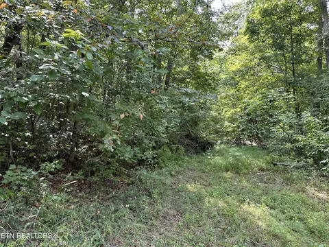 Anthony Rd, Deer Lodge, TN 37726 photo 5