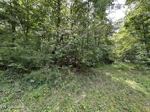Anthony Rd, Deer Lodge, TN 37726 photo 6