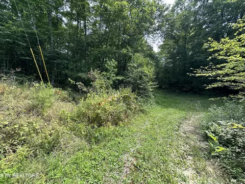 Anthony Rd, Deer Lodge, TN 37726 photo 8