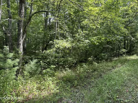 Anthony Rd, Deer Lodge, TN 37726 photo 4
