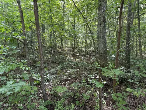 Anthony Rd, Deer Lodge, TN 37726 photo 3