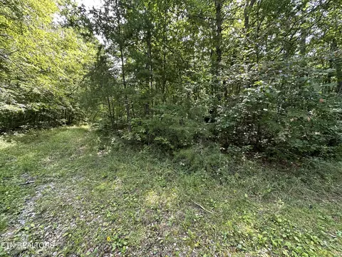 Anthony Rd, Deer Lodge, TN 37726 photo 7