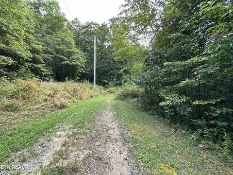 Anthony Rd, Deer Lodge, TN 37726 photo 10