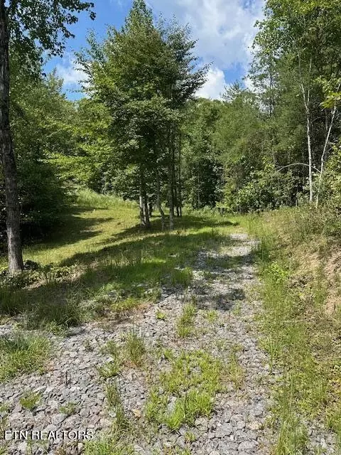 Cedar Rock, Rutledge, TN 37861 photo 5