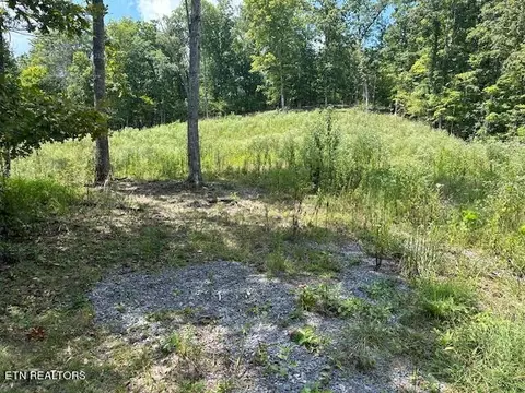Cedar Rock, Rutledge, TN 37861 photo 9