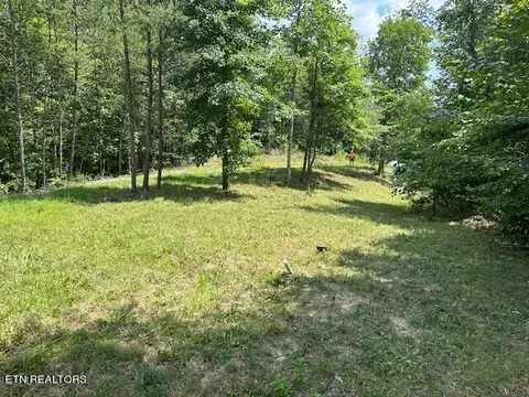 Cedar Rock, Rutledge, TN 37861 photo 10