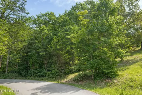 Brown Mountain Loop Rd, Knoxville, TN 37920
