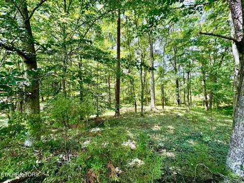 Robinson Lane, Kingston, TN 37763