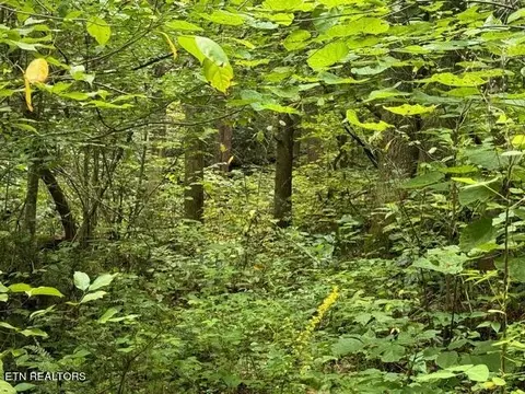 Vixen Way, Cosby, TN 37722