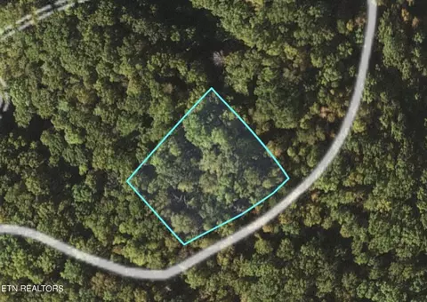 lot157 Deerfoot Rd, Cosby, TN 37722