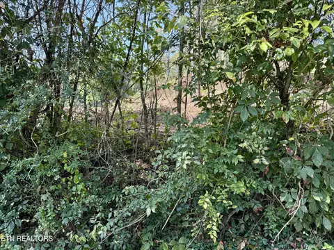 Cherokee Circle, Tazewell, TN 37879
