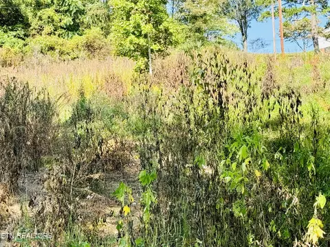 Cherokee Circle, Tazewell, TN 37879