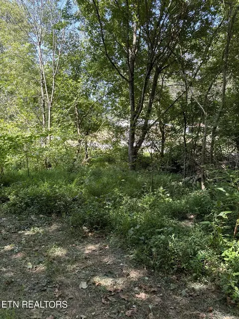 Swan Pond Rd, Harriman, TN 37748