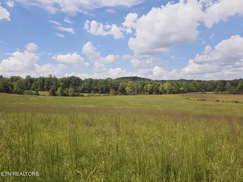 Piney Grove Rd, Oneida, TN 37841 photo 44