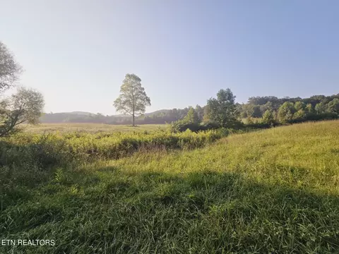 Piney Grove Rd, Oneida, TN 37841 photo 7